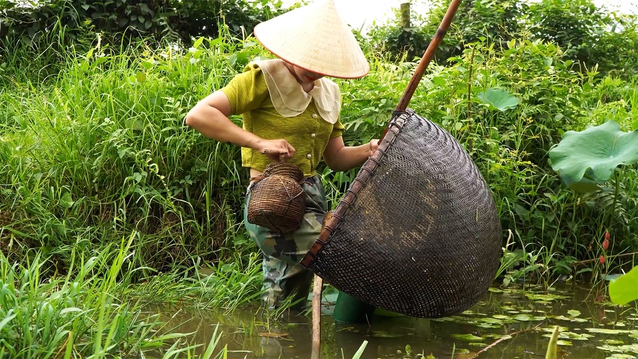 Harvesting Crabs in the Fields, Taking Them to the Market to Sell, Rural Life