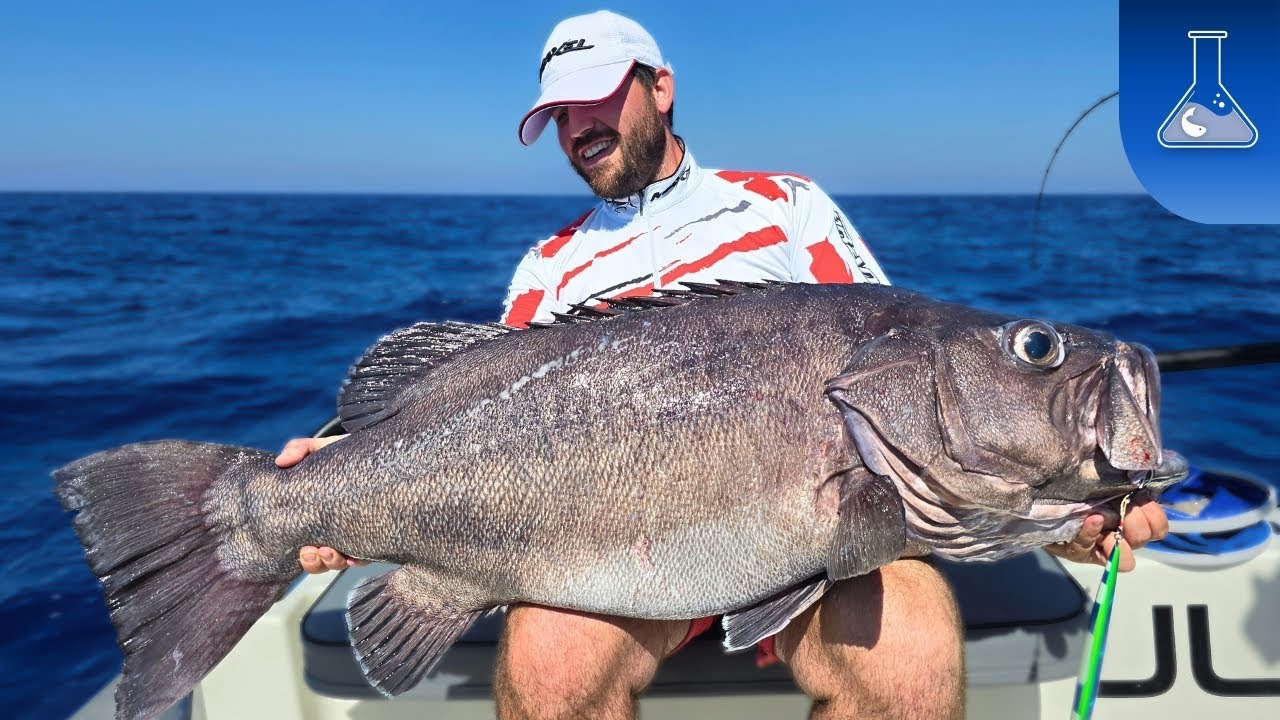 Ψάρεμα στα βαθειά, δύο ψάρια ρεκόρ σε deep Slow Jigging σε πάνω από 500μ!!