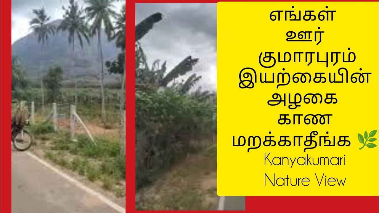 எங்கள் ஊர் குமாரபுரம் இயற்கை அழகு பார்ட் 1