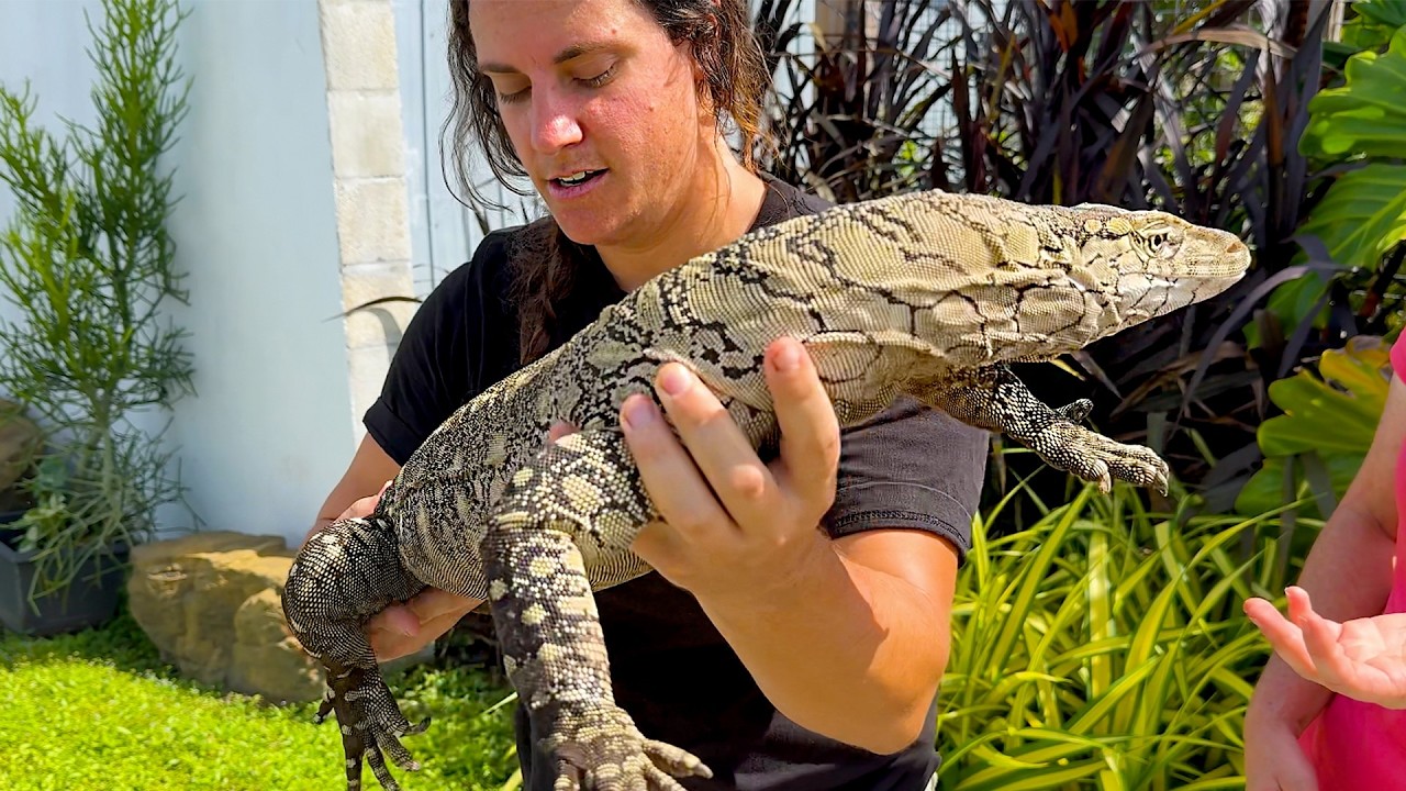 THE WORLD'S BIGGEST REPTILE ZOO 😳
