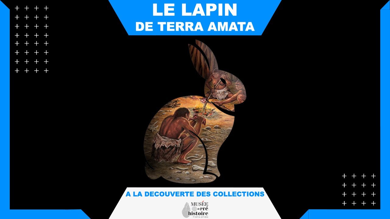 A la découverte des collections : le lapin de Terra Amata