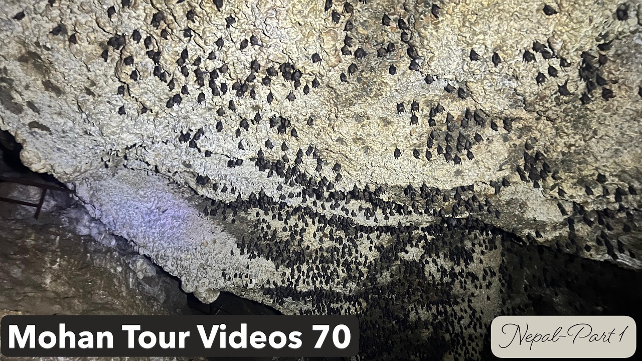 Mohan Tour Videos | 70 | Nepal | Part-1 | Pokhara | Bat Cave-Sethi River Georgi-Gurkha Museum |