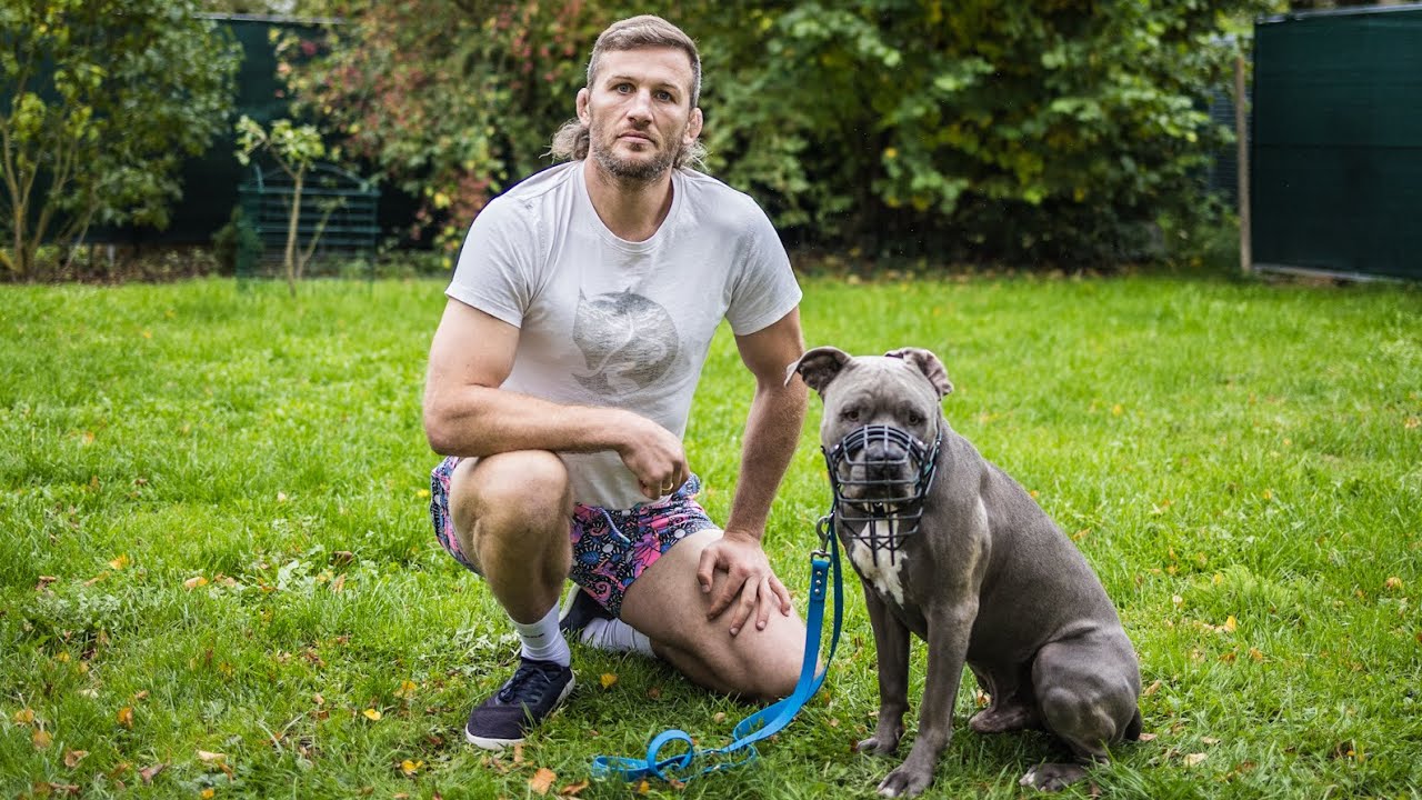 Mach DAS NIEMALS mit deinem American Staffordshire Terrier! 