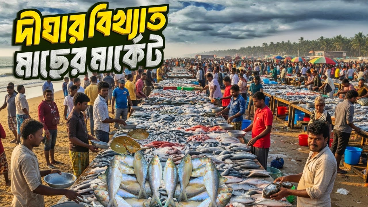 বীরকুলের বিখ্যাত কাঁচা ইলিশের বাজার | Birkul (Digha) Mohona Fish Market