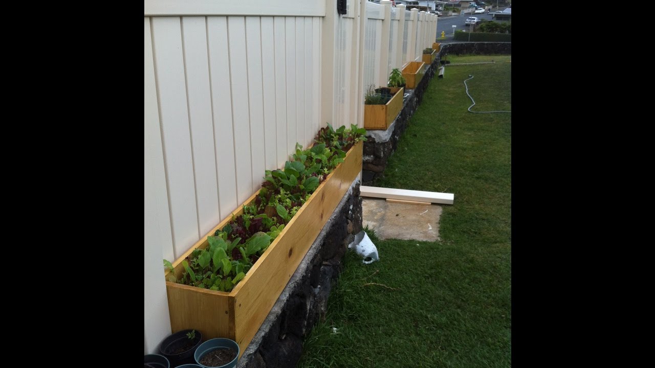 How Long Will a DIY Untreated Pine Planter Last?