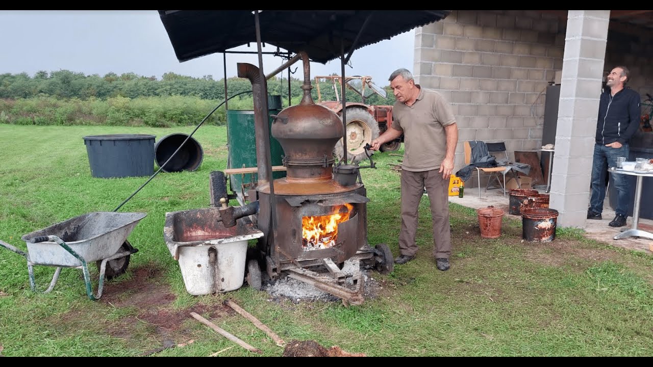 Vesela mašina