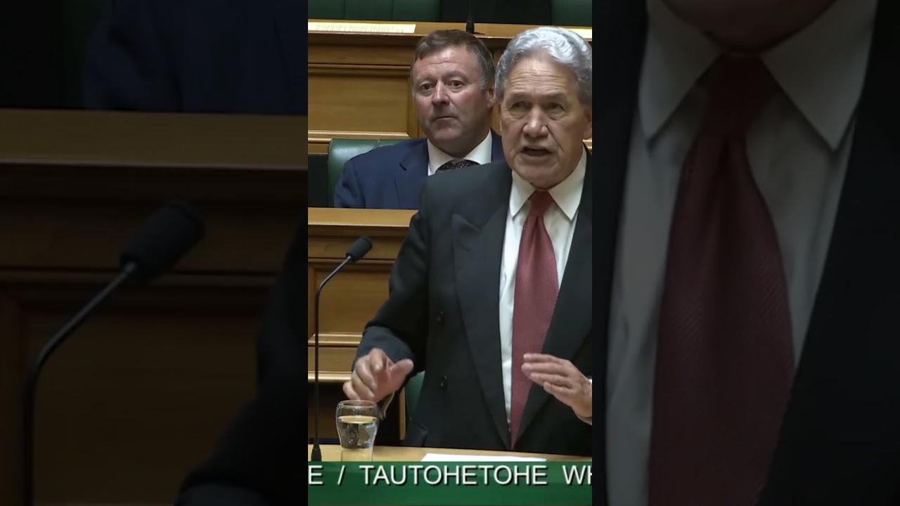 Winston Peters: They are not for the Māori people. They are not for the people of this country.
