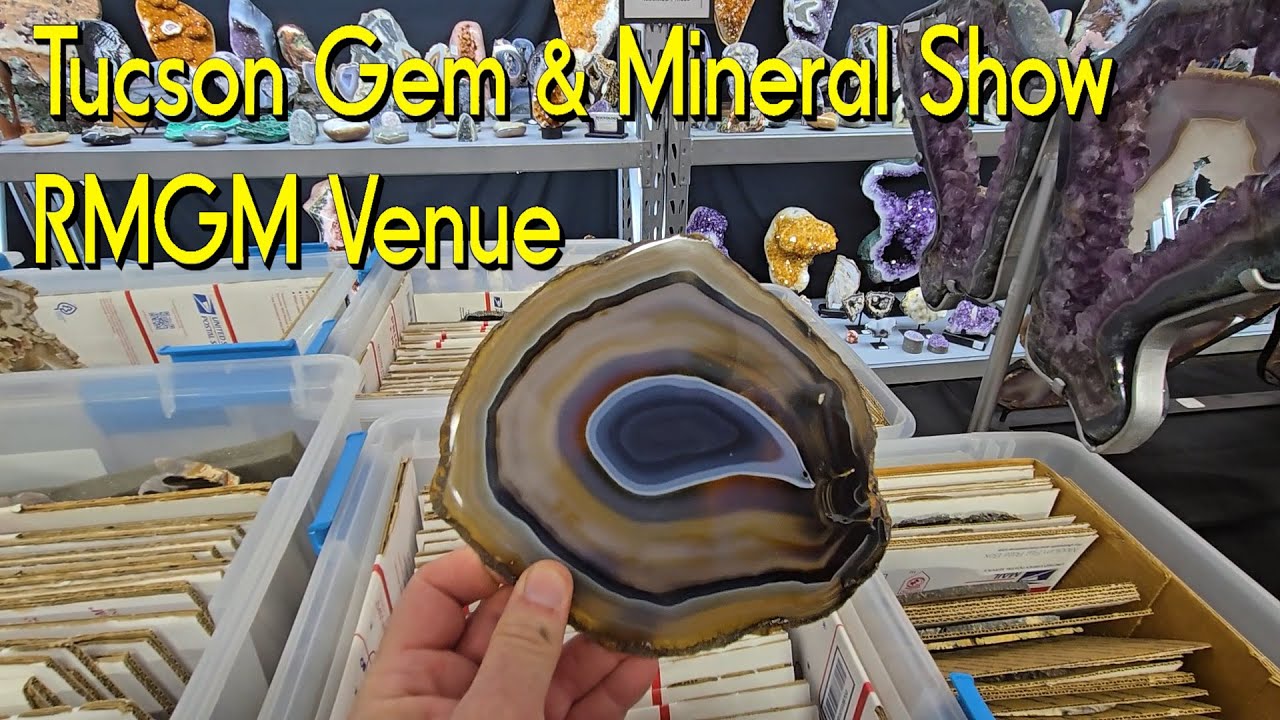 Tucson Gem & Mineral RMGM Show 2025 #thefinders #lapidary #gemstone #tucson #geode #amythest