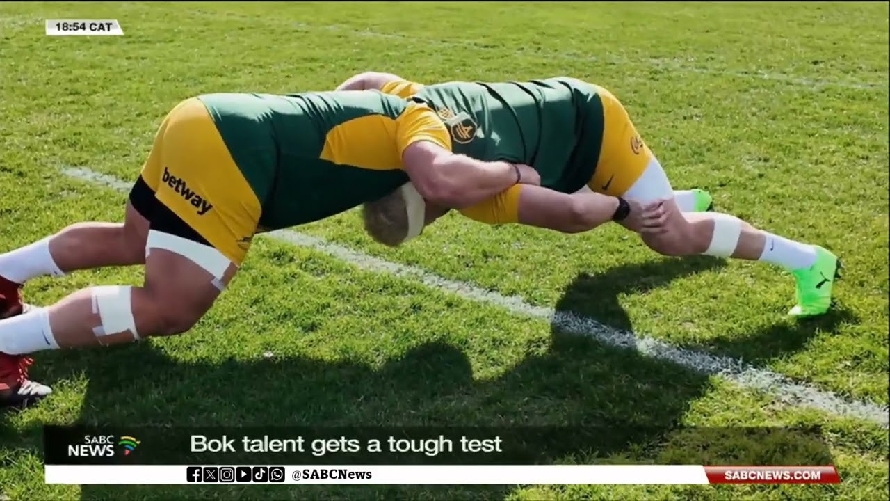 Rugby Championship | Boks take on New Zealand in Wellington on Saturday
