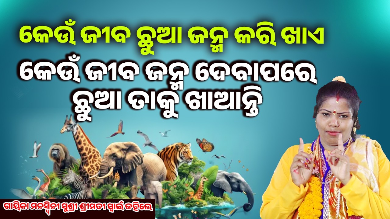 କେଉଁ ଜୀବ ଜନ୍ମ କରି ଛୁଆ ଖାଏ ଏବଂ କେଉଁ ଜୀବ ଜନ୍ମ ଦେବାପରେ ଛୁଆ ତାକୁ ଖାଆନ୍ତି|Keun Jiba Janma Kari Chhua Khae
