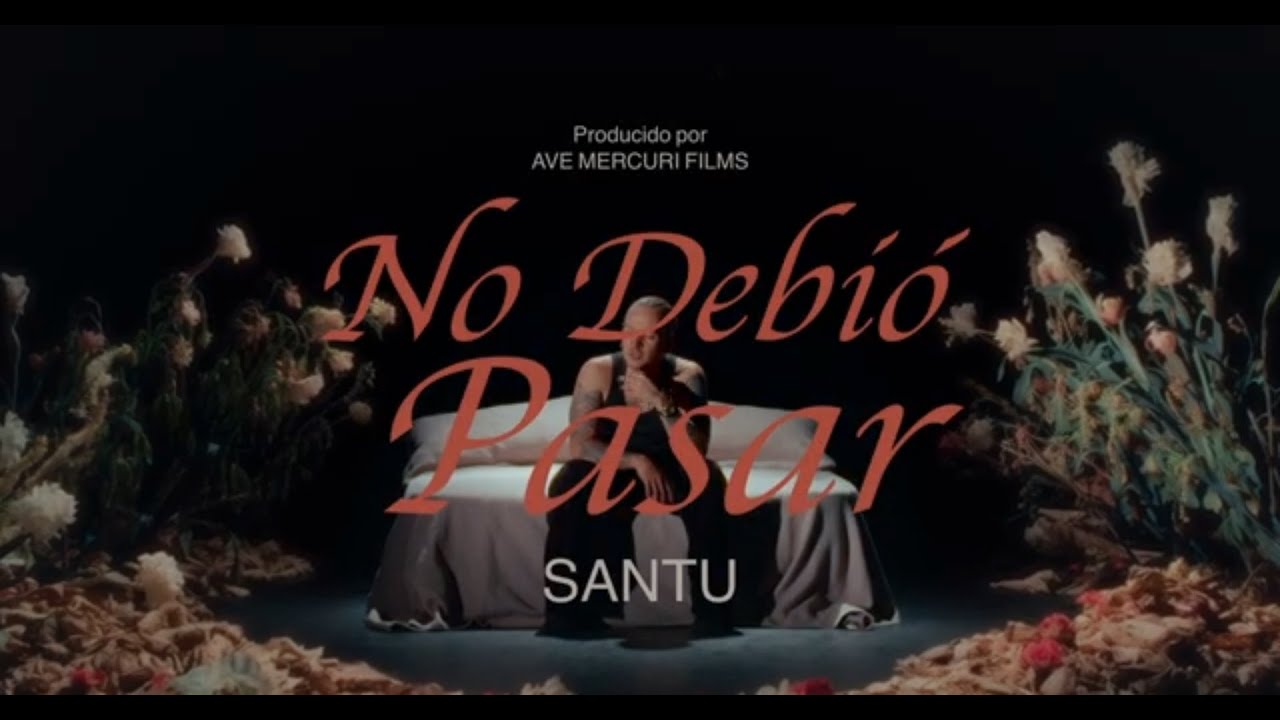 NO DEBIÓ PASAR - SANTU (OBRA #05)
