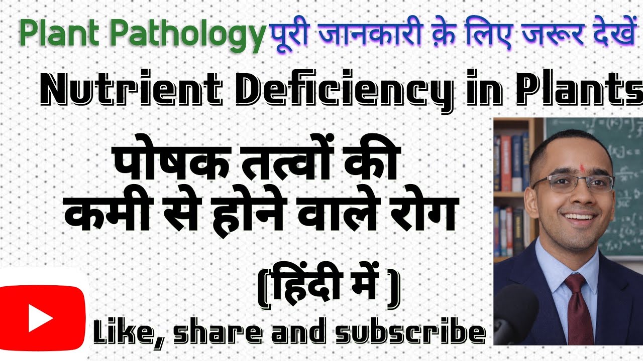 Nutrient Deficiency Diseases l पोषक तत्वों की कमी से होने वाले रोग l Plant Pathology l Agriculture 