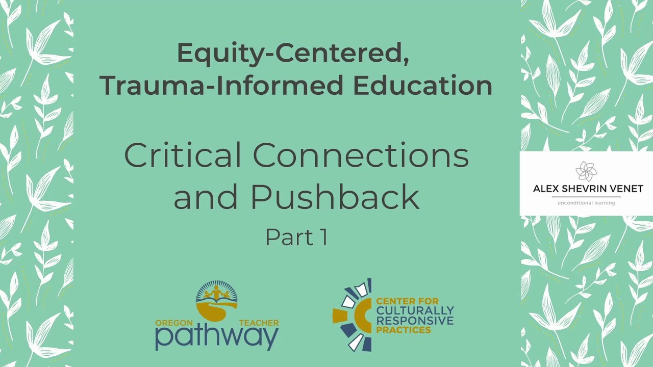 Alex Shevrin Venet: Critical Connections and Pushback