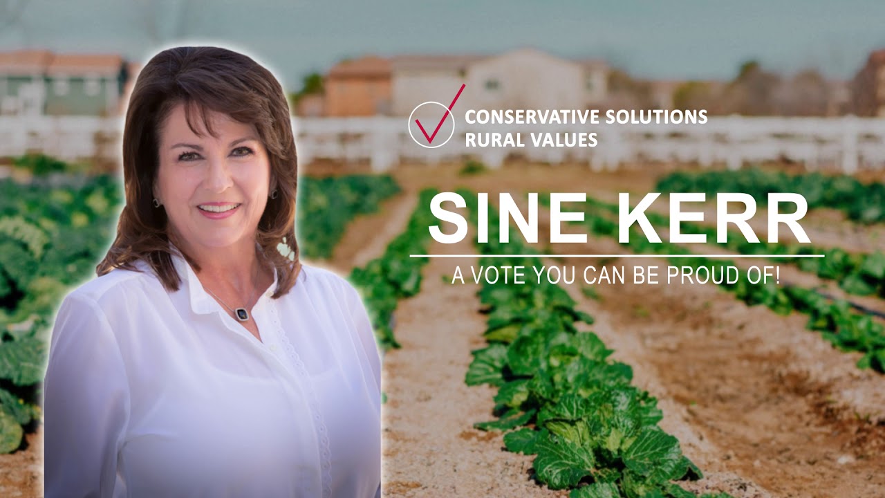 Vote Sine Kerr for State Senate