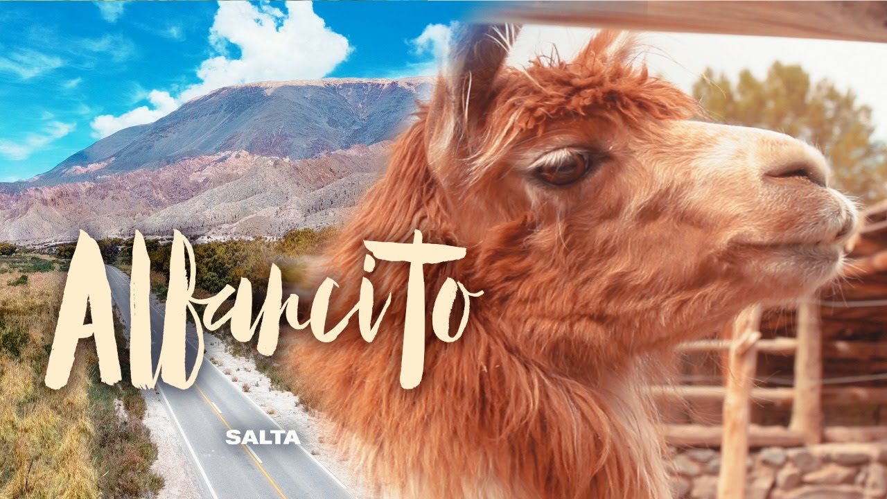 El Alfarcito por el camino del Tren a las Nubes ft Manchas de Jaguar | Salta, Argentina | #Rutitas