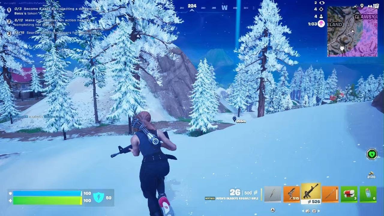 Fortnite victory