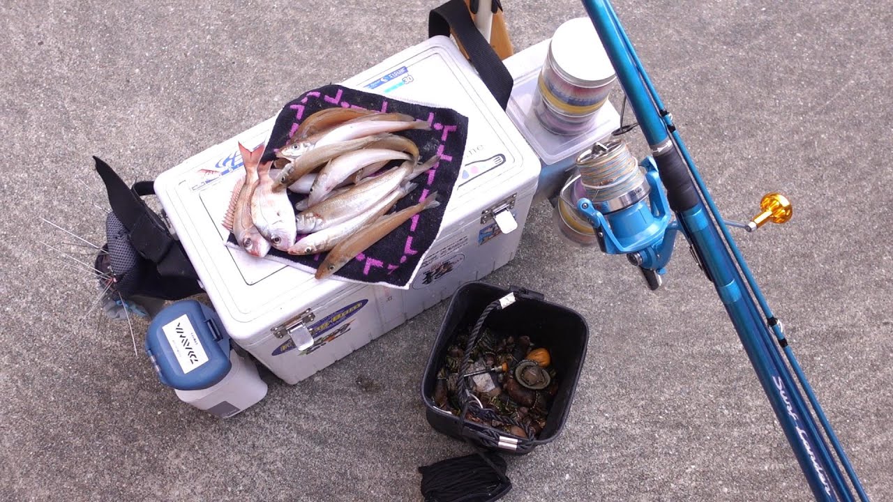 キリン晴れ風カラーの投げ釣りタックル初釣行！キスの投げ釣り♪