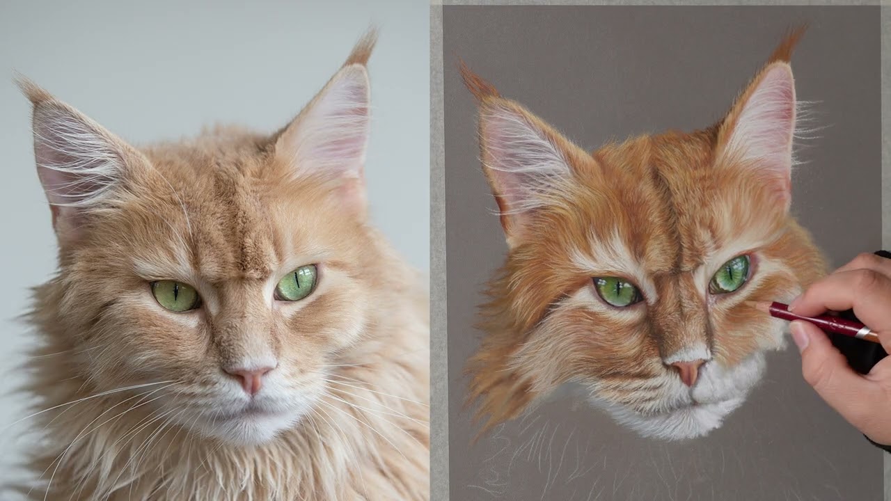 How to draw a Maine Coon cat - timelapse tutorial - part three