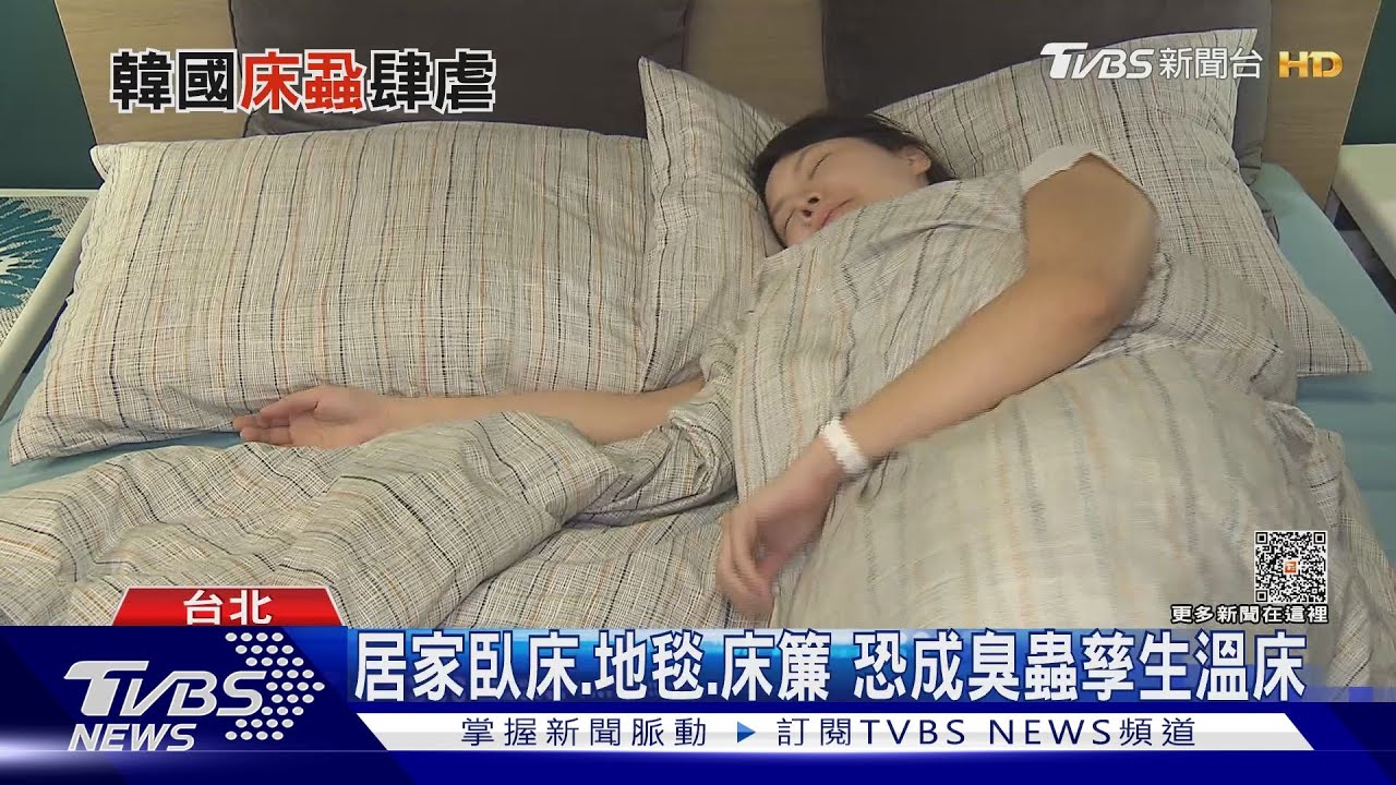 這蟲看到得小心! 吸血引發搔癢 已成全球危機｜十點不一樣20231107 @TVBSNEWS01
