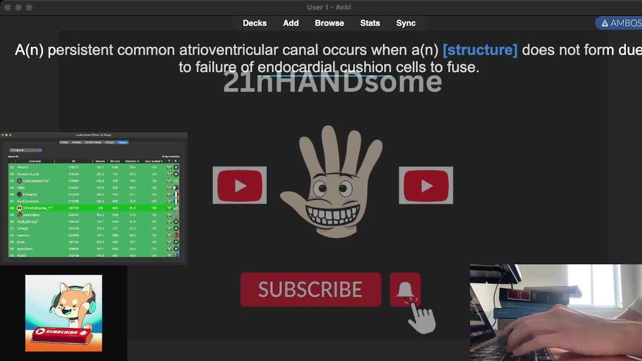 Anki Livestream (November 12, 2024)