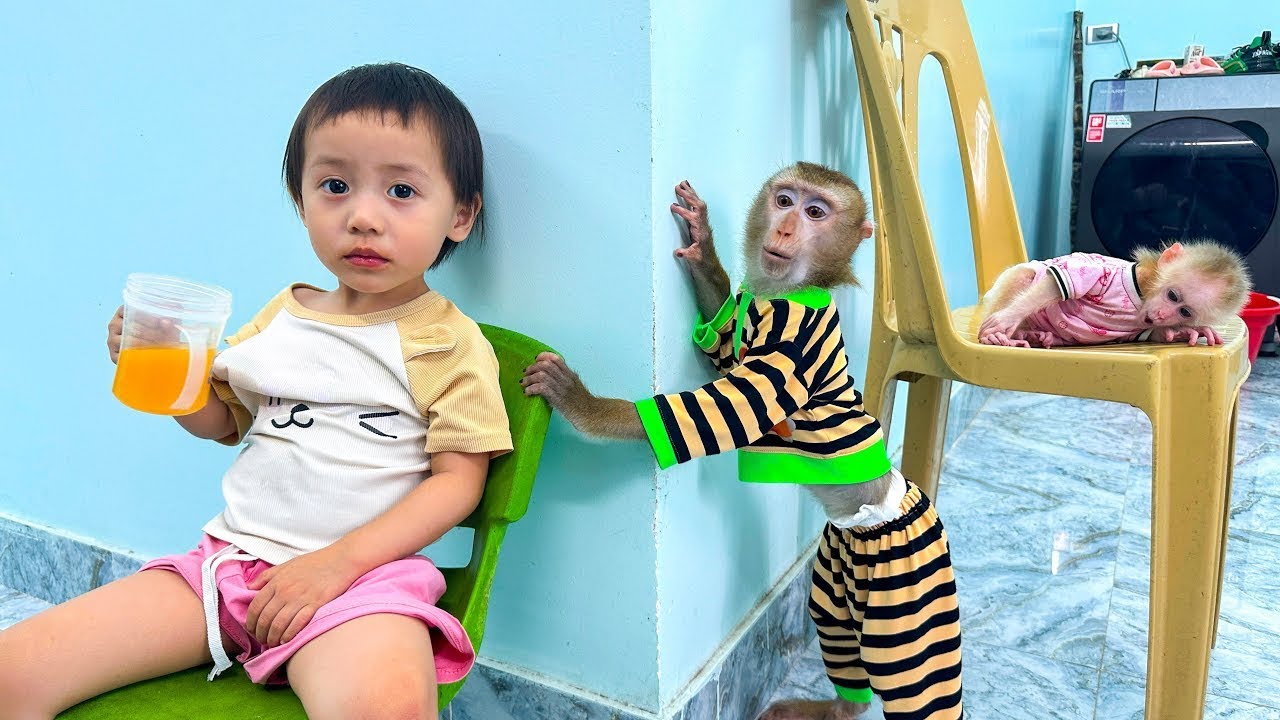 Monkey Kaka was sad because Diem didn't share her orange juice with her.