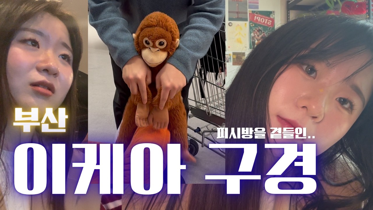 부산 기장 이케아 방문기