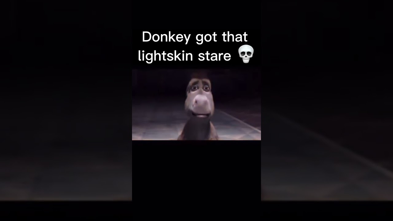 Donkey got that lightskin stare #donkey #lightskinstare #memes #shorts
