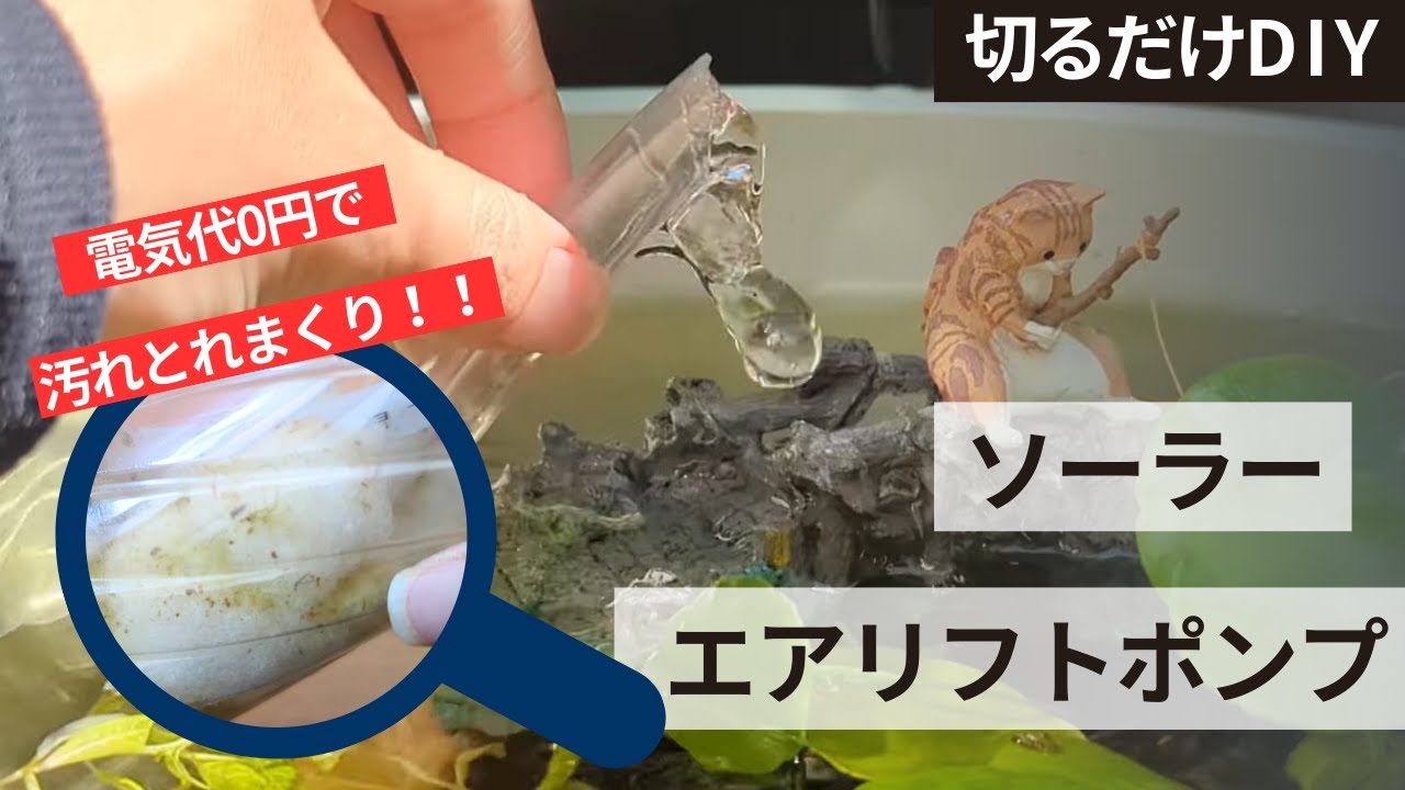 ペットボトルで超簡単！ソーラーエアリフトポンプDIY！メダカのビオトープで物理的ろ過を実現