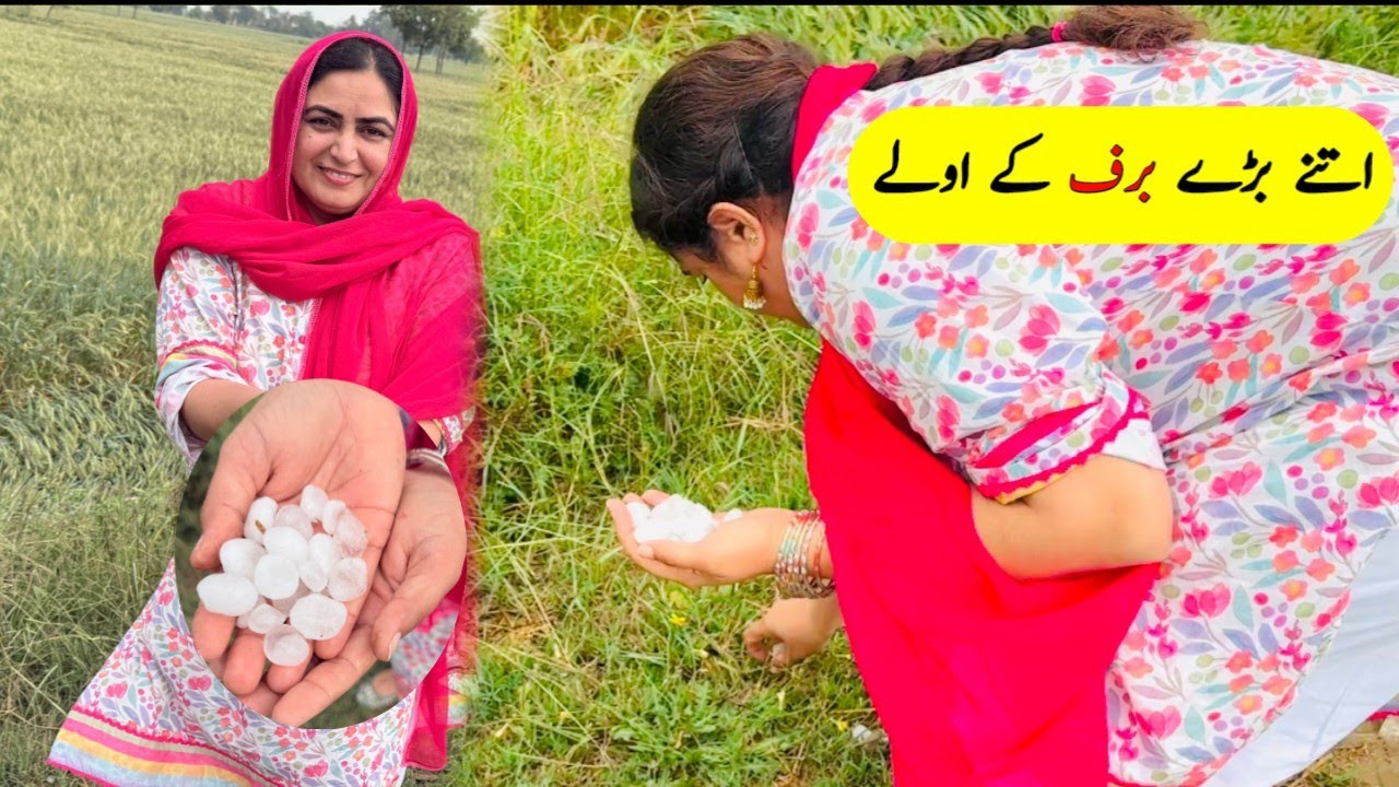 Beautiful View of Rain and Hail | Family Vlogs in Village Life,