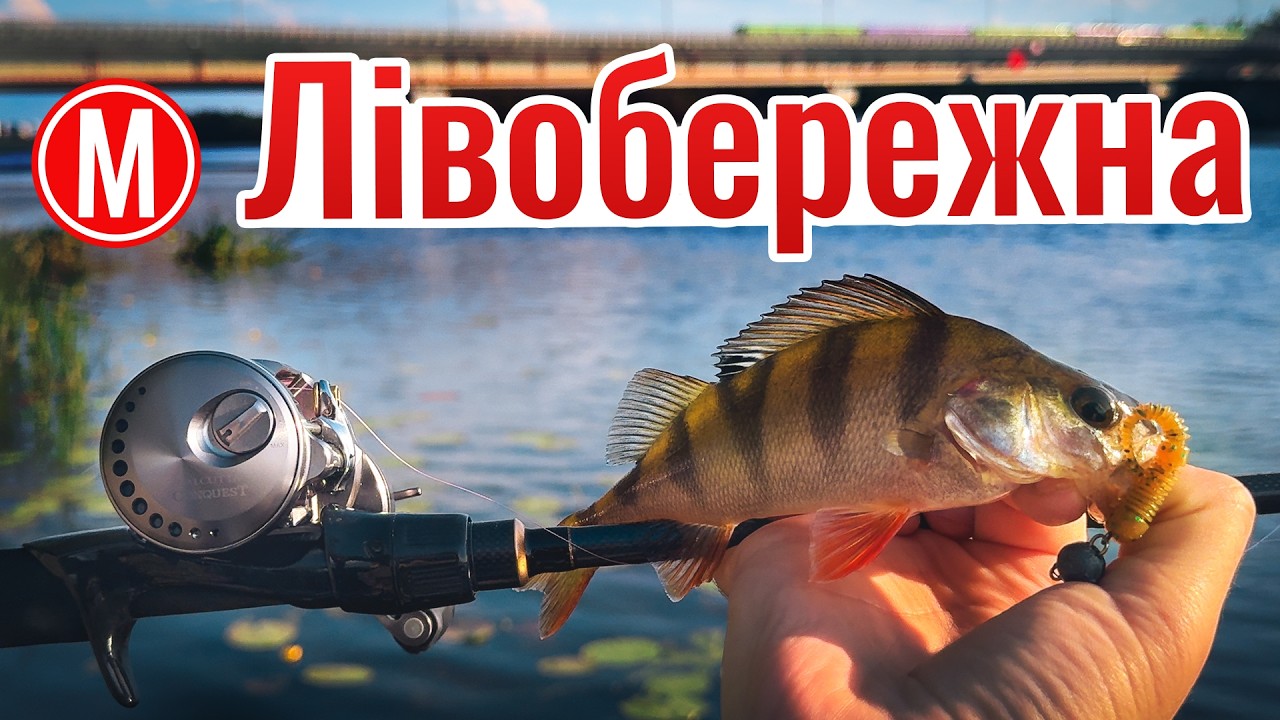 Де ловити рибу на Лівобережній