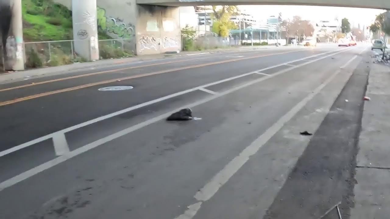 HOMELESS SITUATION OAKLAND CALIFORNIA #california