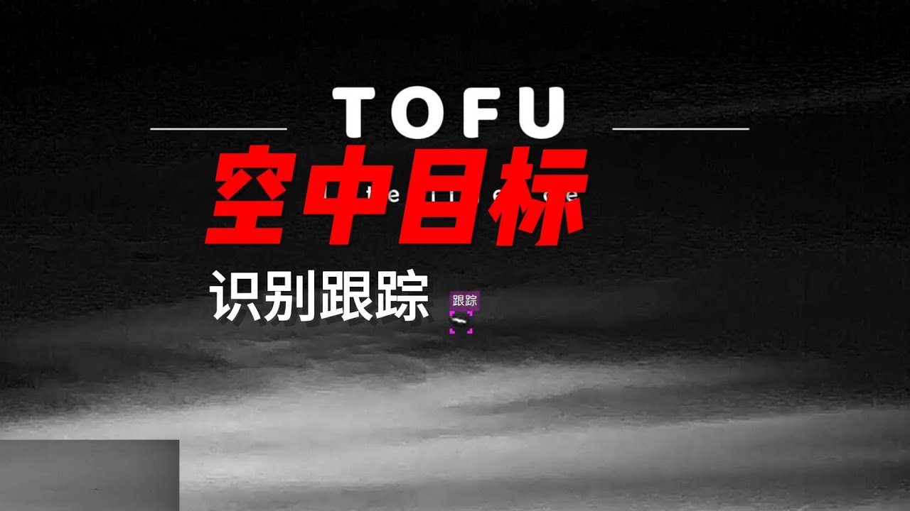 Tofu bird detection and tracking