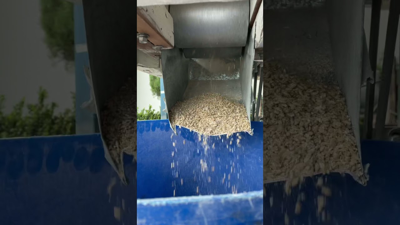 Beer Bandits Brewery 500l Braumeister