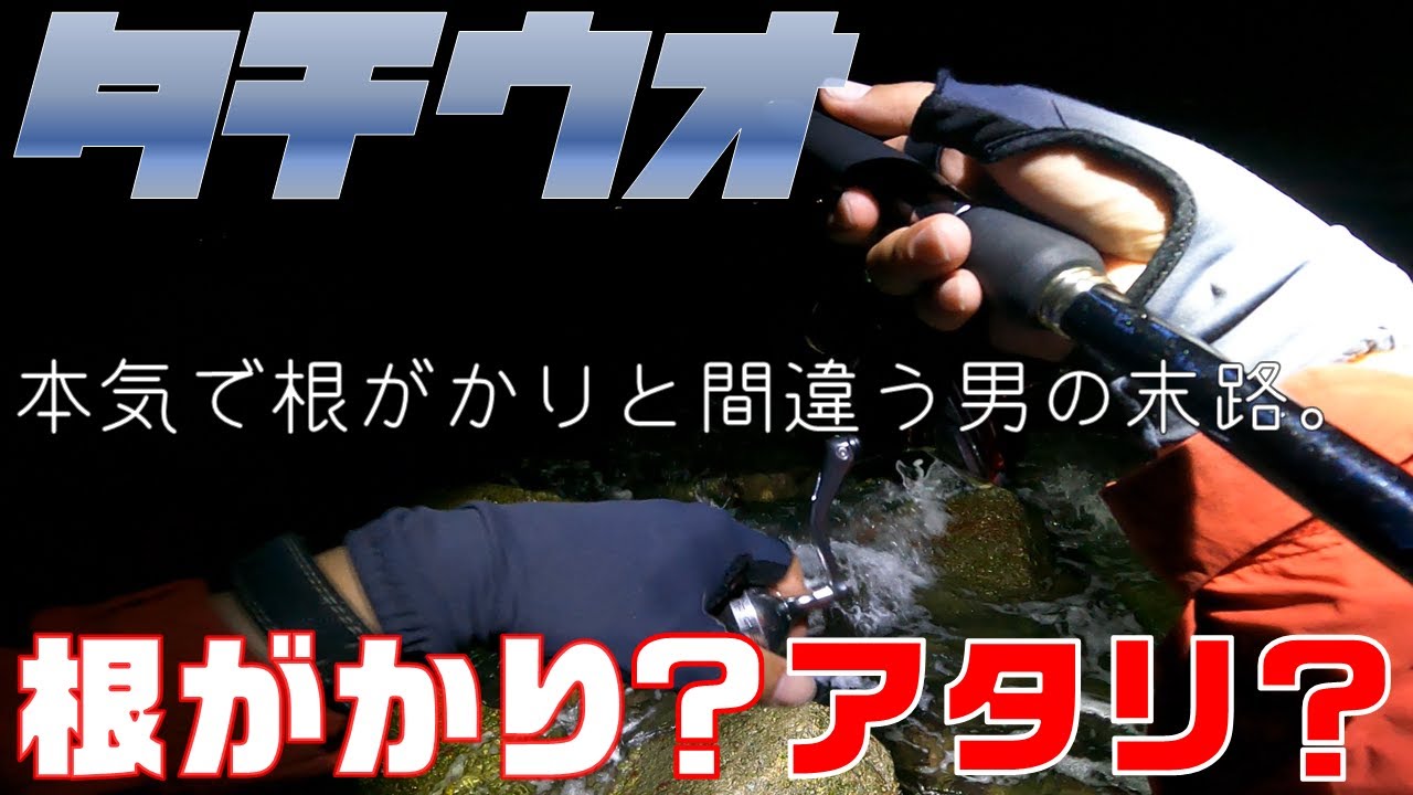 【タチウオ釣り】アタリを本気で根掛かりと間違う男の末路。＜大阪湾釣り＞