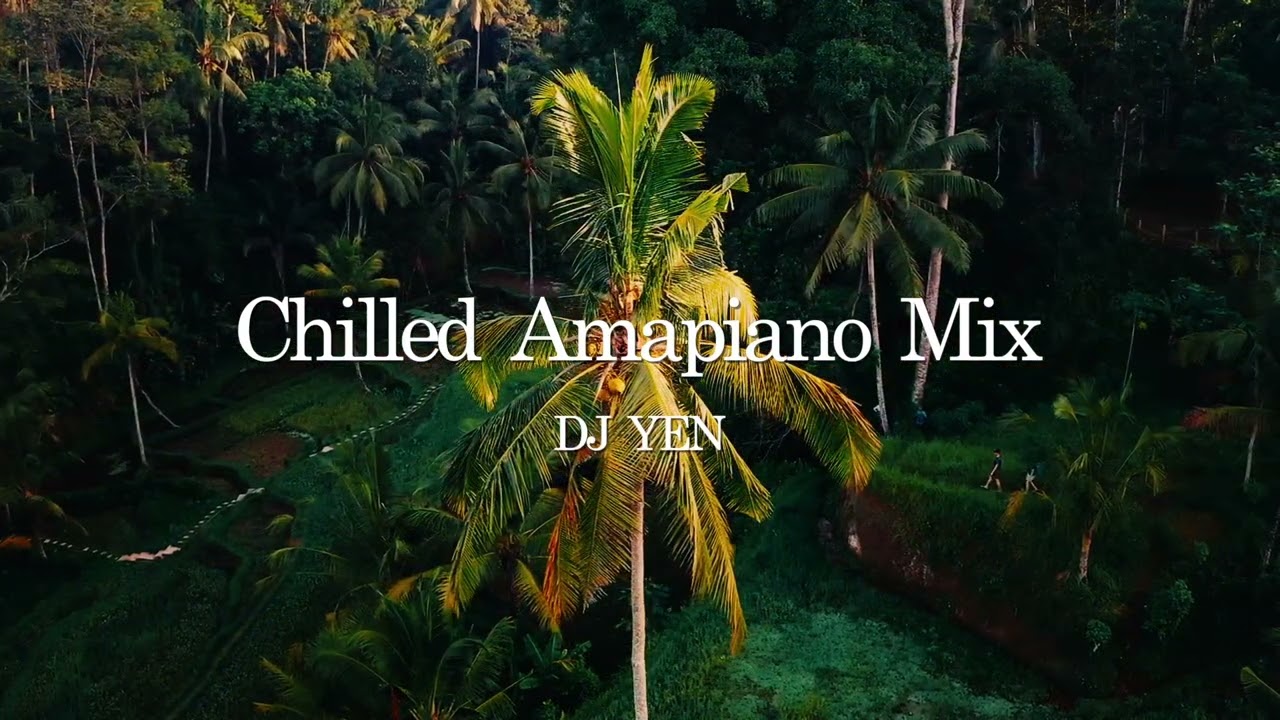 Chilled Amapiano DJ Mix ｜Soulful Amapiano (Kelvin Momo, MFR Souls, Kabza De Small, Gaba Cannal...)