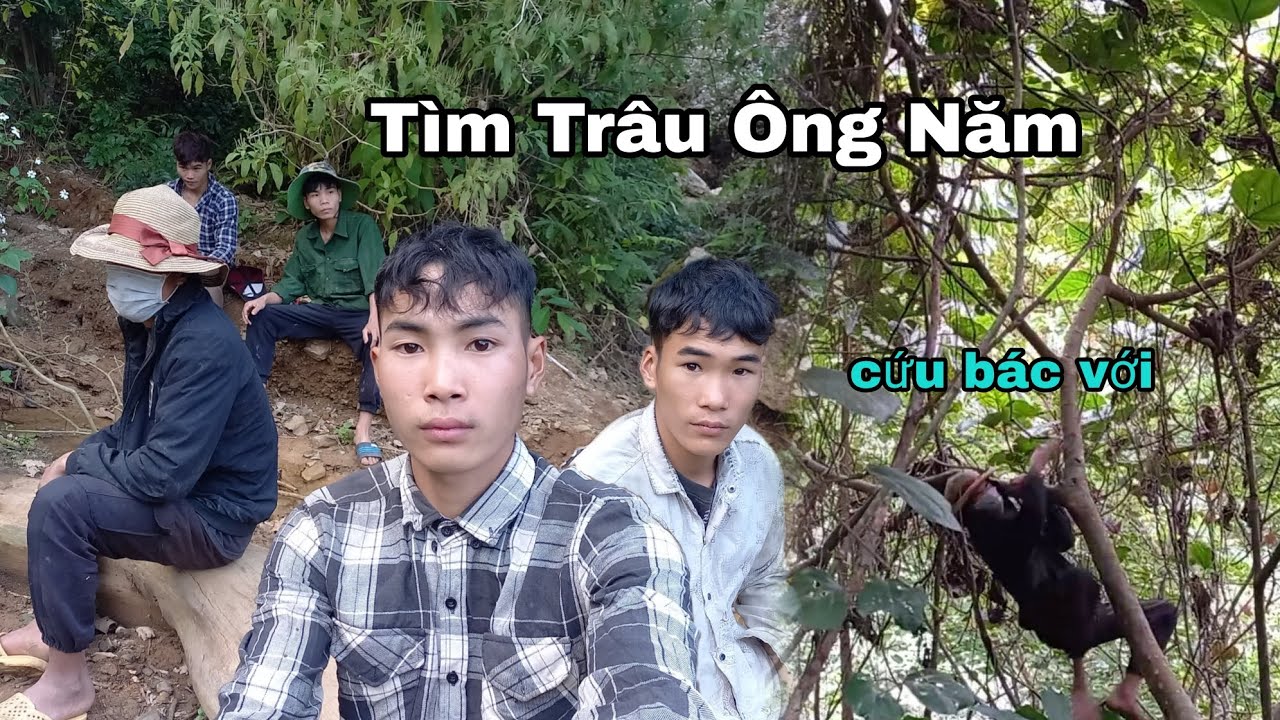 (Video Hài) Đi Tìm Trâu Ông Năm | Tuyền Vlog