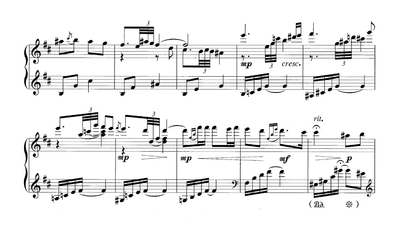 Zhang Zhao - Why Are the Flowers So Red (2011) [Score-Video]