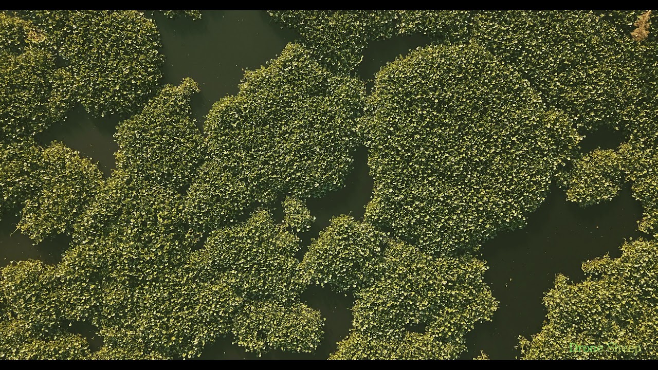 Playa Bagliardi y Terrapl&eacute;n costero. Ciudad de Berisso. Buenos Aires, Argentina