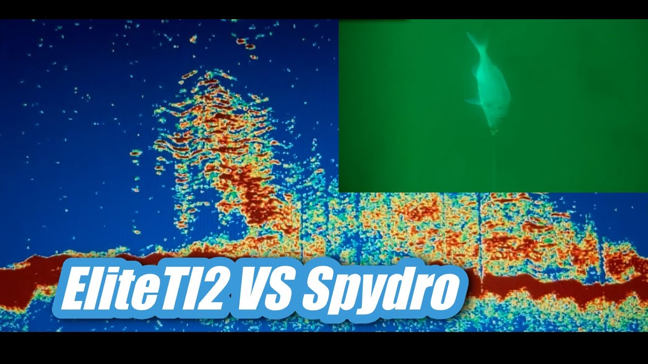 LO QUE VE LA SONDA, LO QUE VE LA SPYDRO