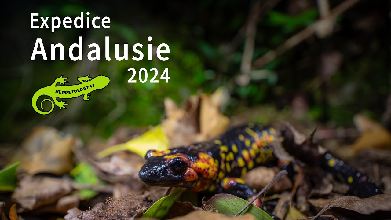 Expedice Andalusie 2024