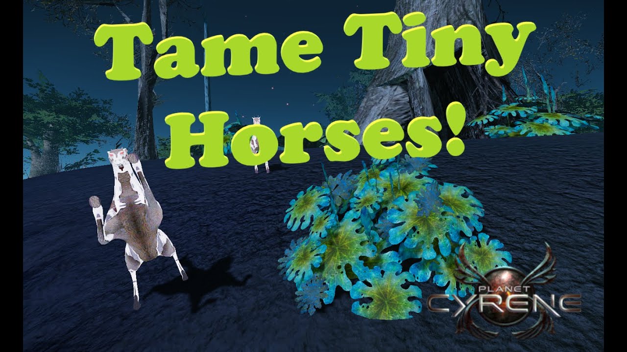 I will Tame You! Part 2