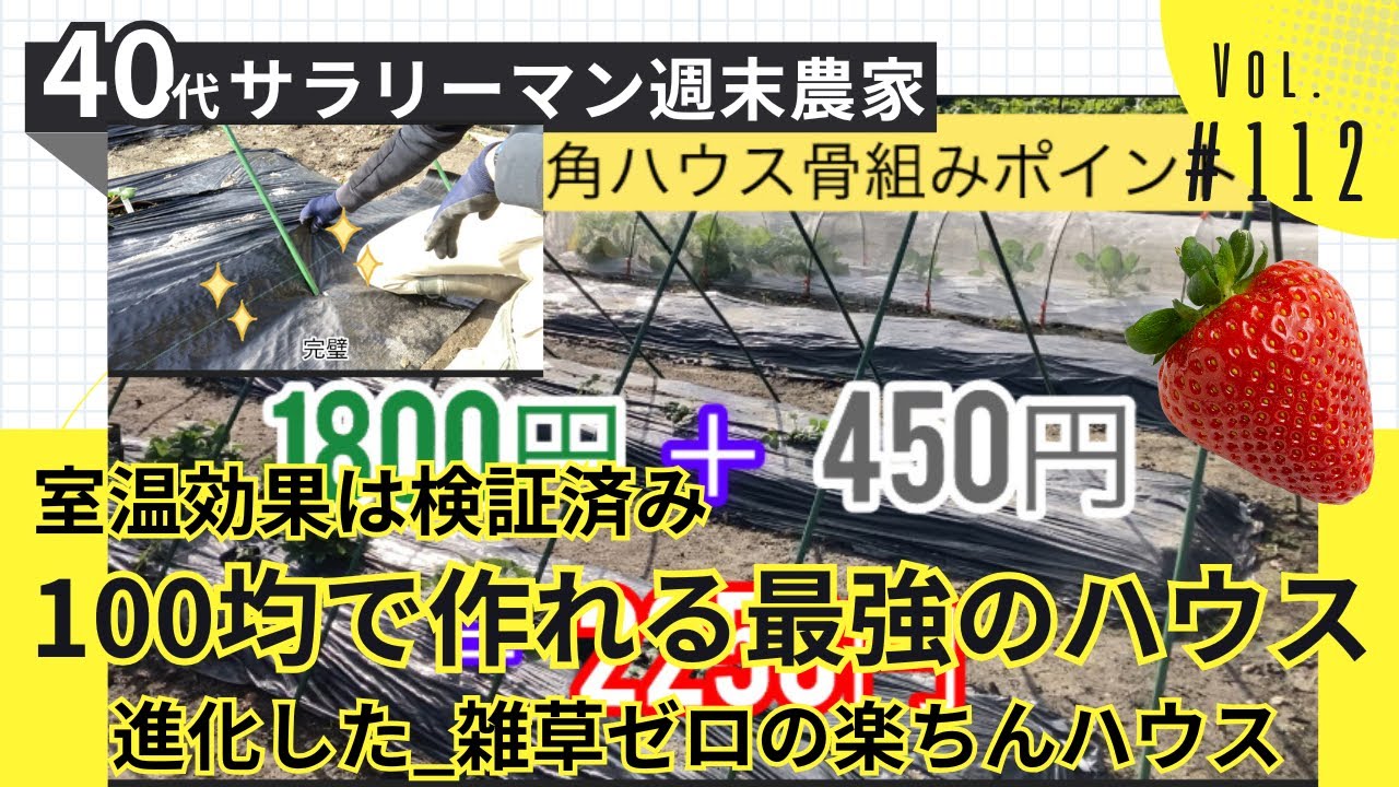 Vol.112【100均アイテムで作れるビニールハウス】いちご栽培を憧れのビニールハウスで！発明級！室温効果も検証済みの最強の三角ビニールハウス2025版│いちご冬越え成功の秘密を全公開
