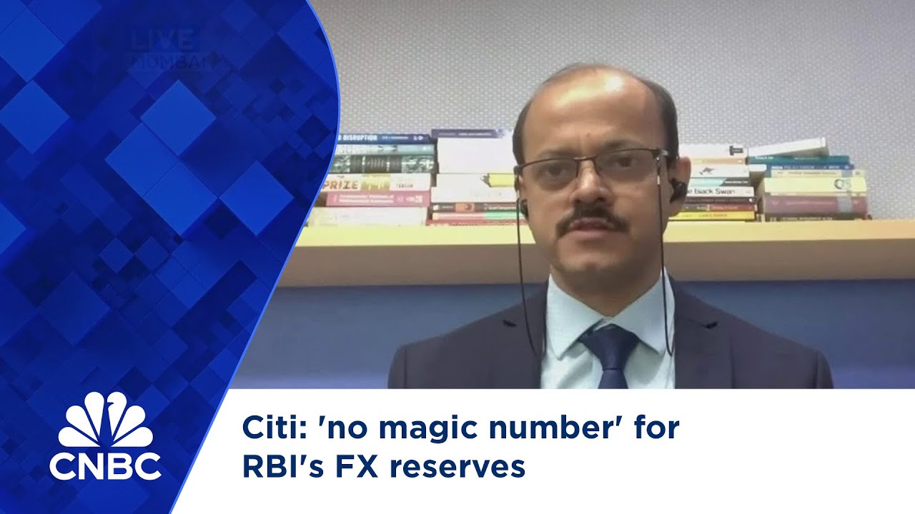 Citi: 'no magic number' for RBI's FX reserves