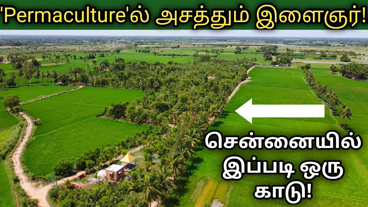 இதுதான் 'Permaculture'ஆ! - சென்னை அருகில் இப்படி ஒரு காடு!