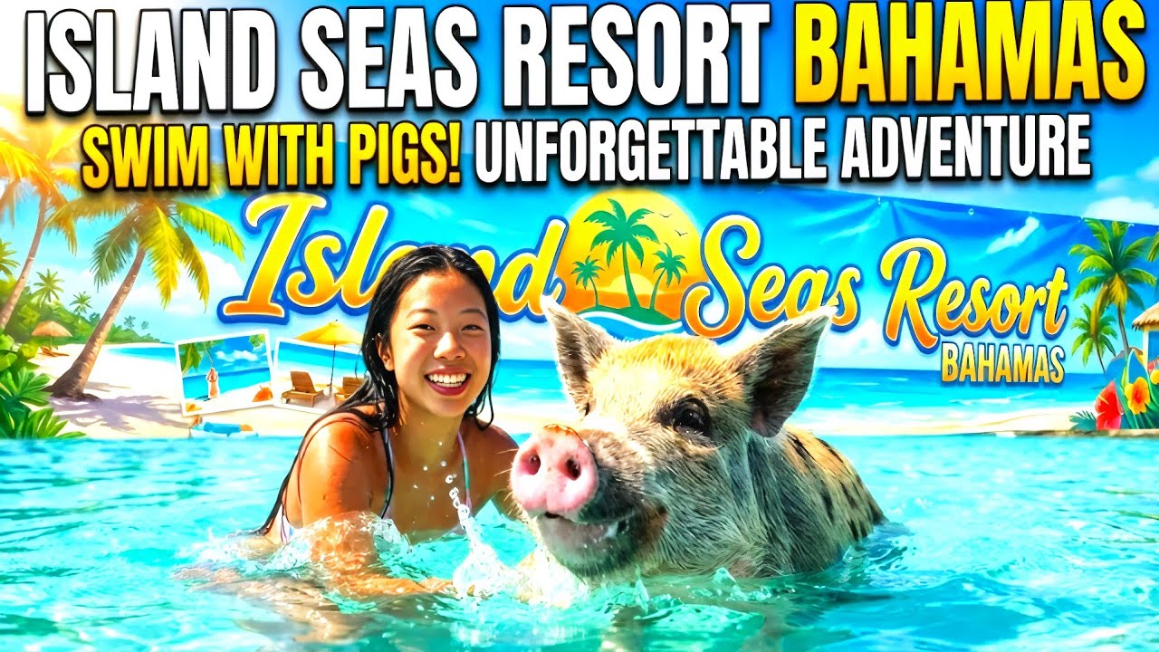 Swimming with Extraordinary Sea Creatures