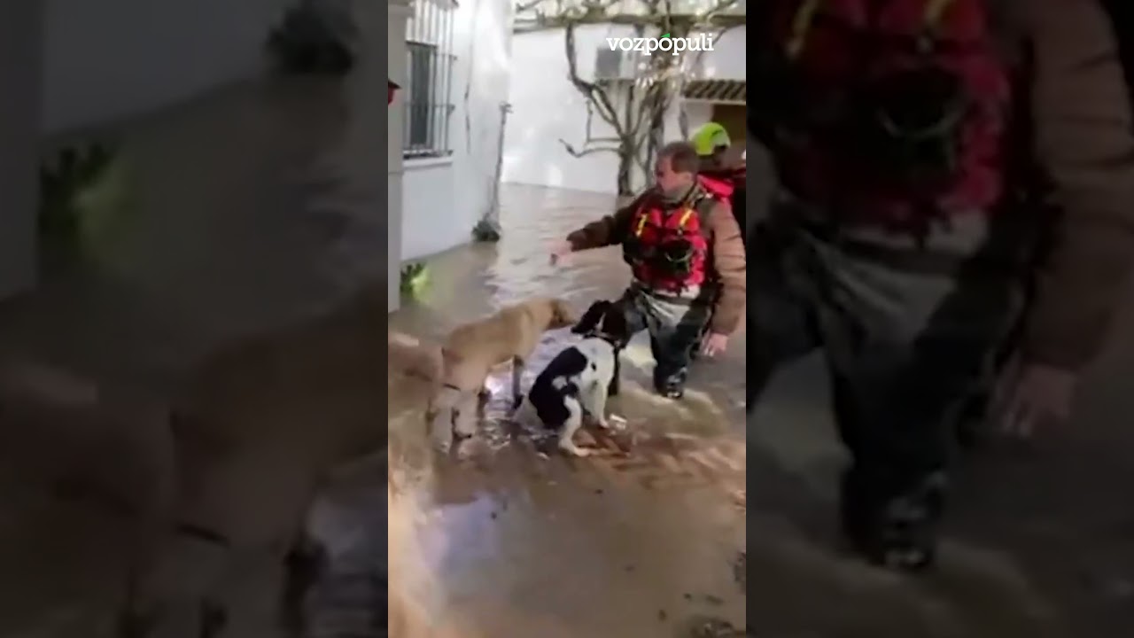 La Guardia Civil rescata animales que quedaron atrapados en la zona de Jerez de la Frontera