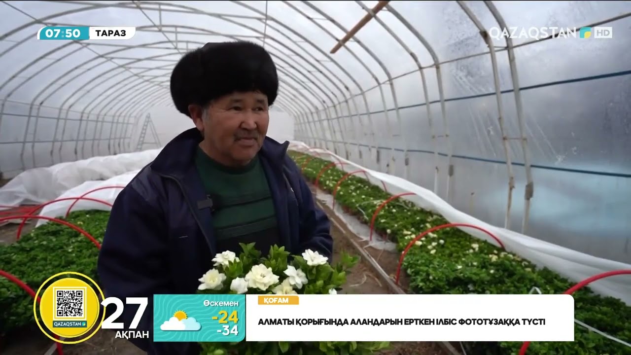 Тараздық студент айына 5 млн табыс табады