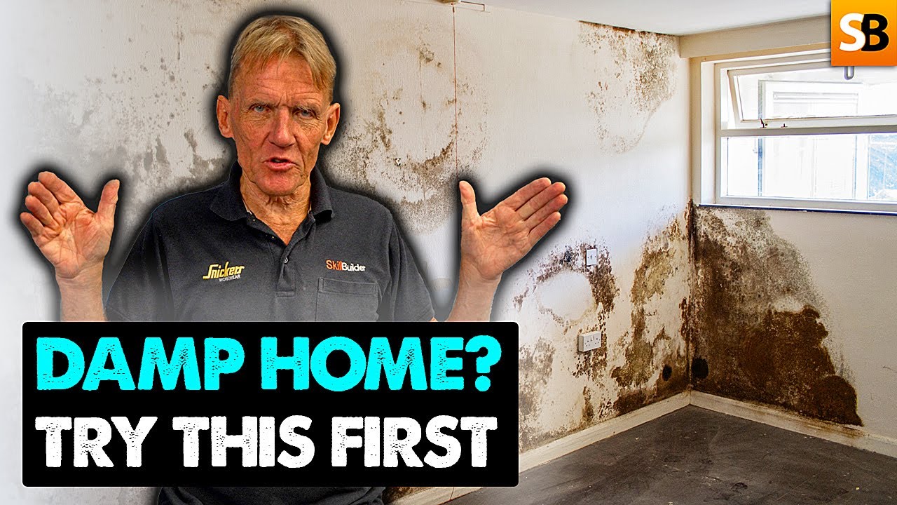 Try This Before You Spend Money on Damp Problems