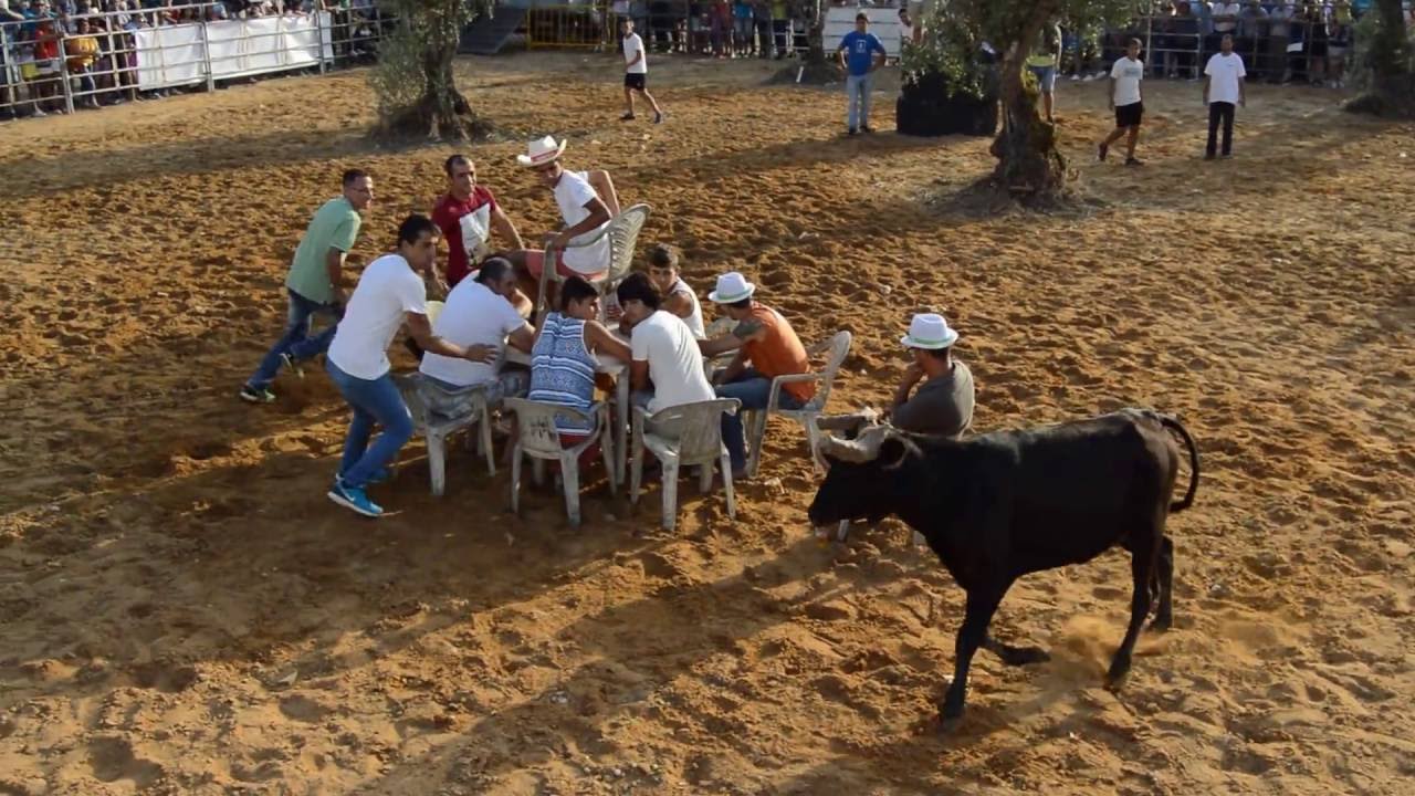 Canha (Montijo): Mesa da Tortura - Dia 03 de Setembro 2016.