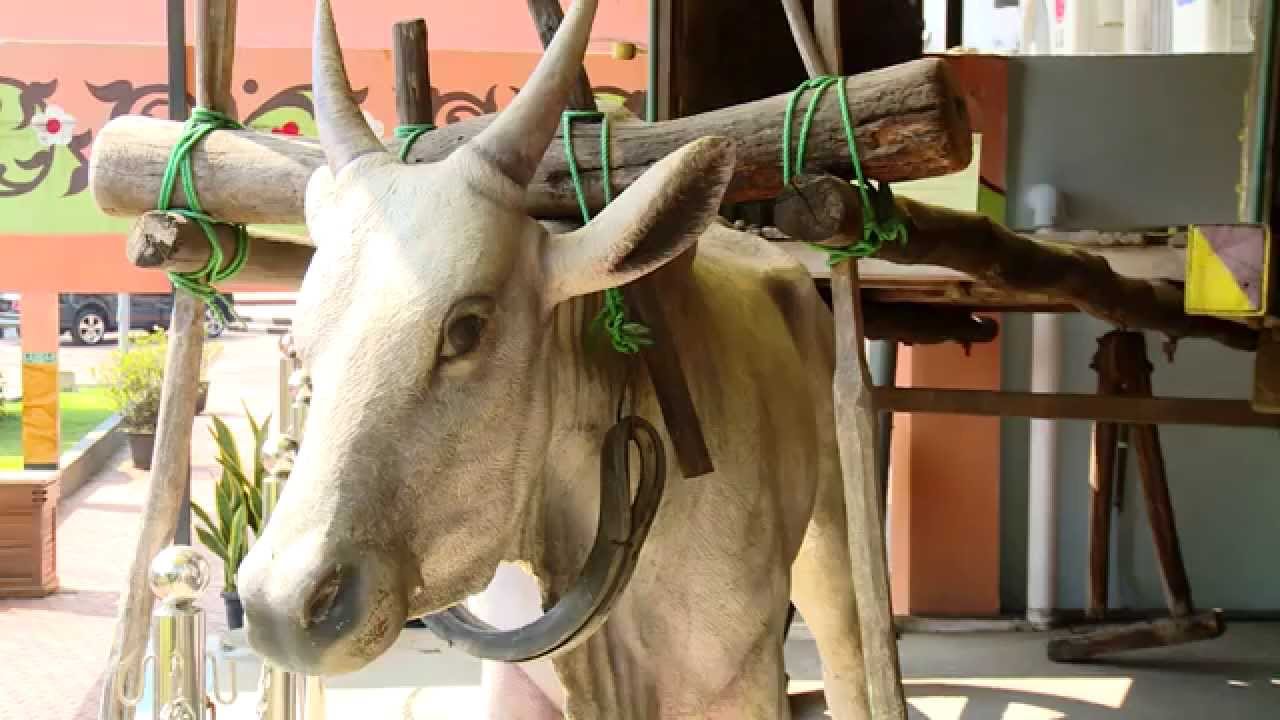 REBO NYUNDA -  SRIBADUGA